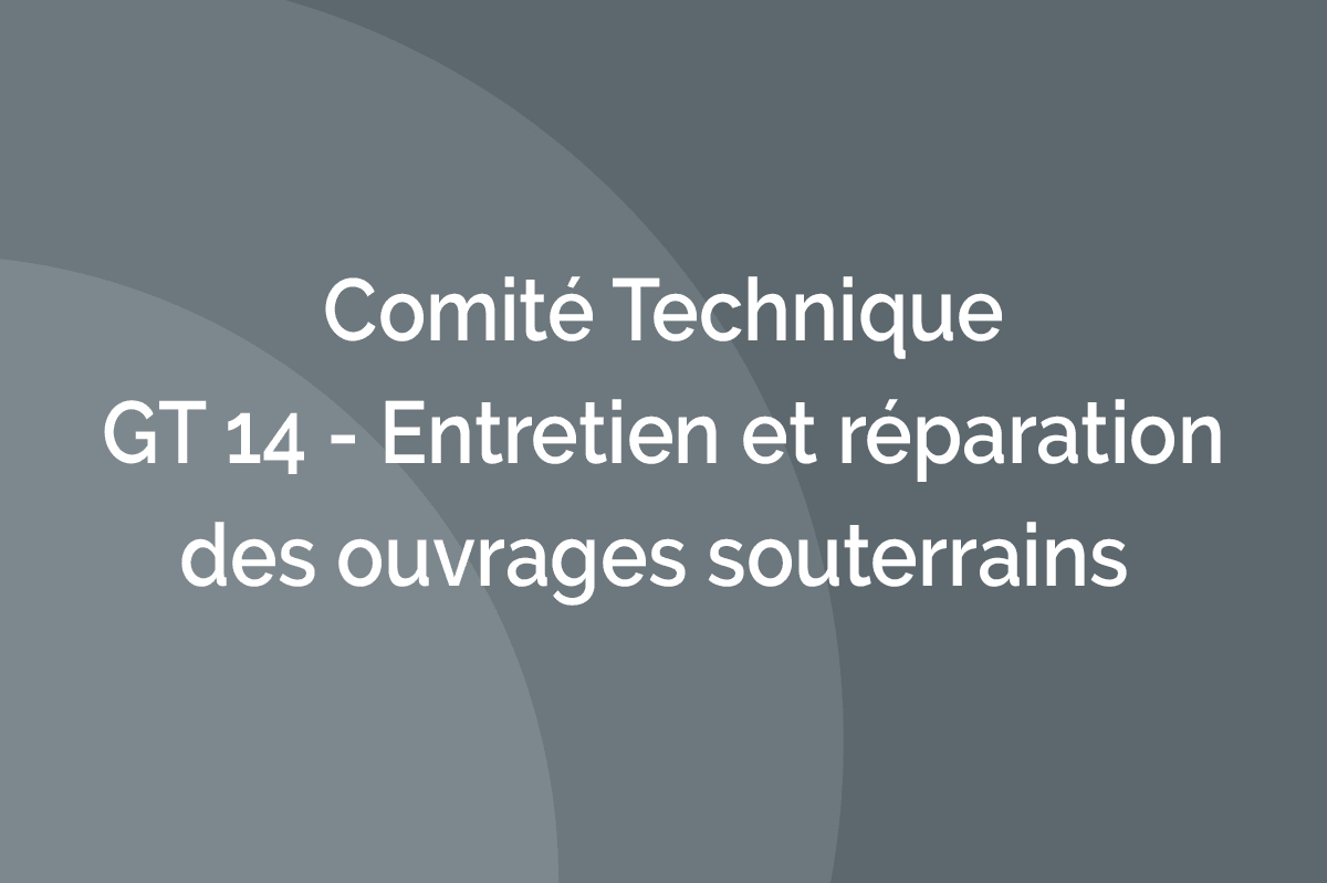 Comité Technique - GT 14 - Entretien et réparation des ouvrages souterrains