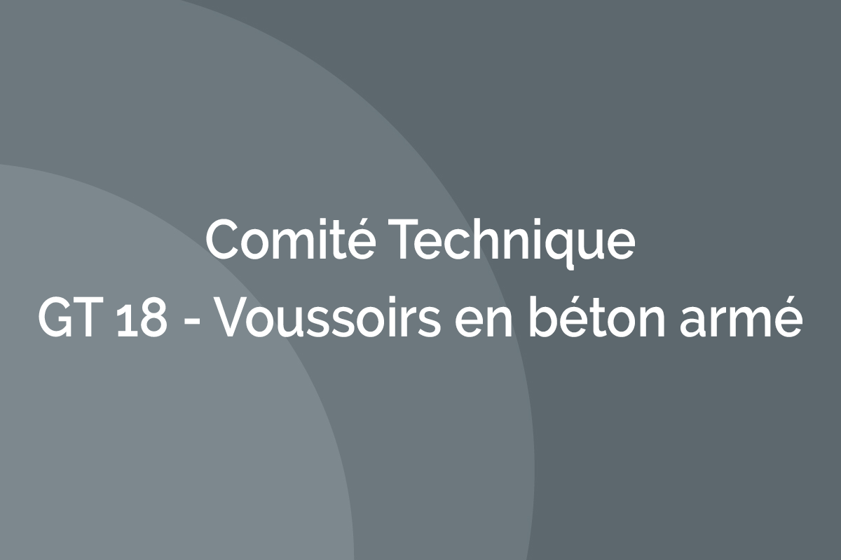 Comité Technique - GT 18 - Voussoirs en béton armé