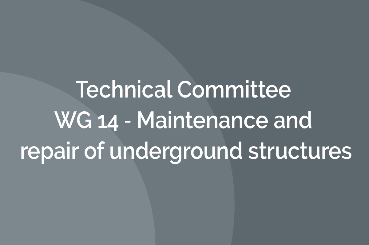 WG 14 ‐ Maintenance and repair of underground structures