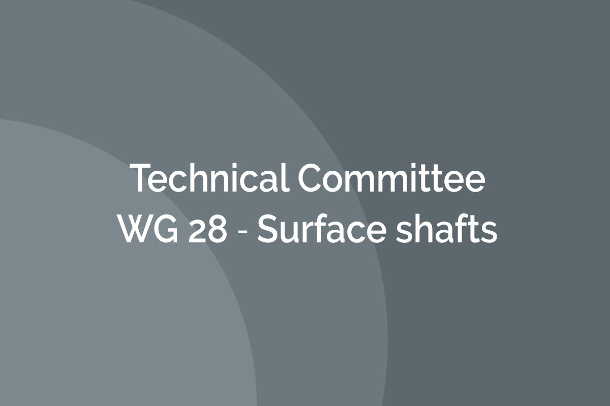 WG 28 ‐ Surface shafts